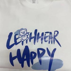 heat press DTF DTG